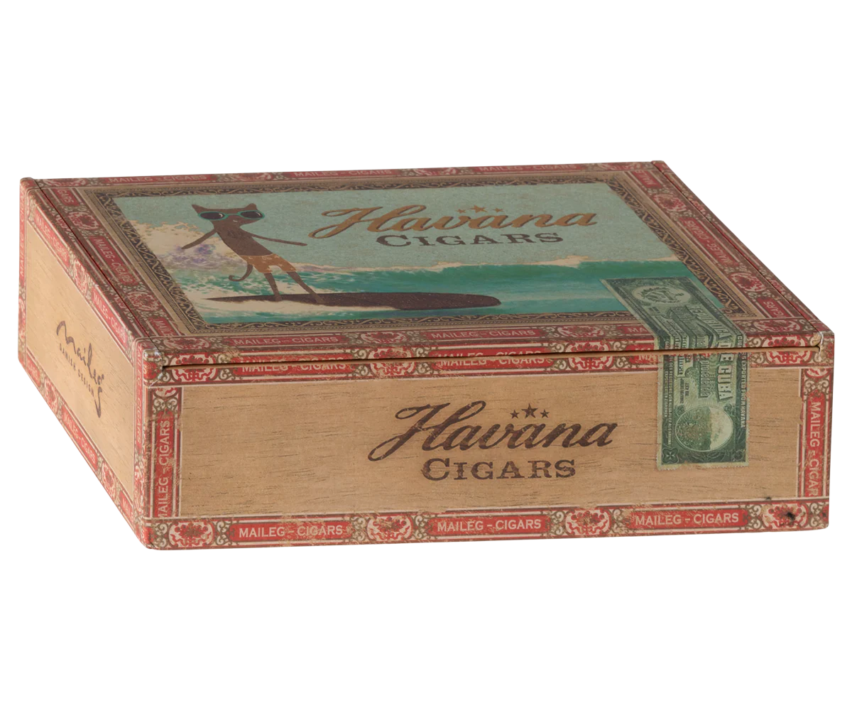 Mamma och pappa mus i cigarrlåda